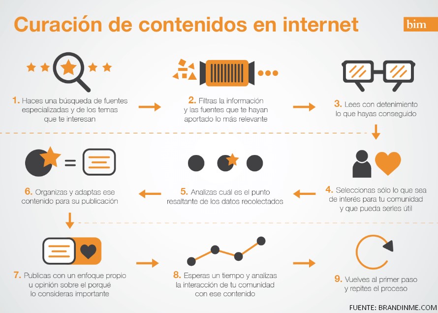 curacion-contenido-fases